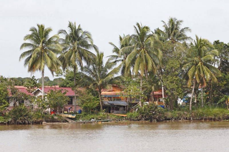 Abai Village on the Kinabatangan River