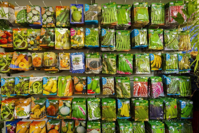 Plant seed stall at the Mercado dos Lavradores