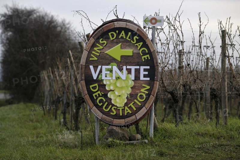 Sign wine sale and tasting
