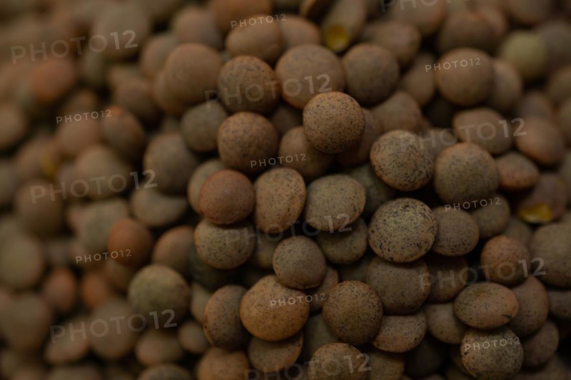Close-up detail of unfocused brown lentils macro photography
