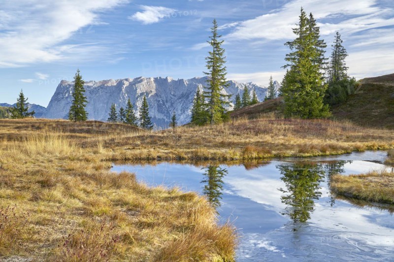 Autumn alpine pasture in fine weather