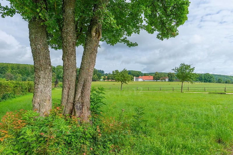 Fohlenhof Gestuet St. Johann