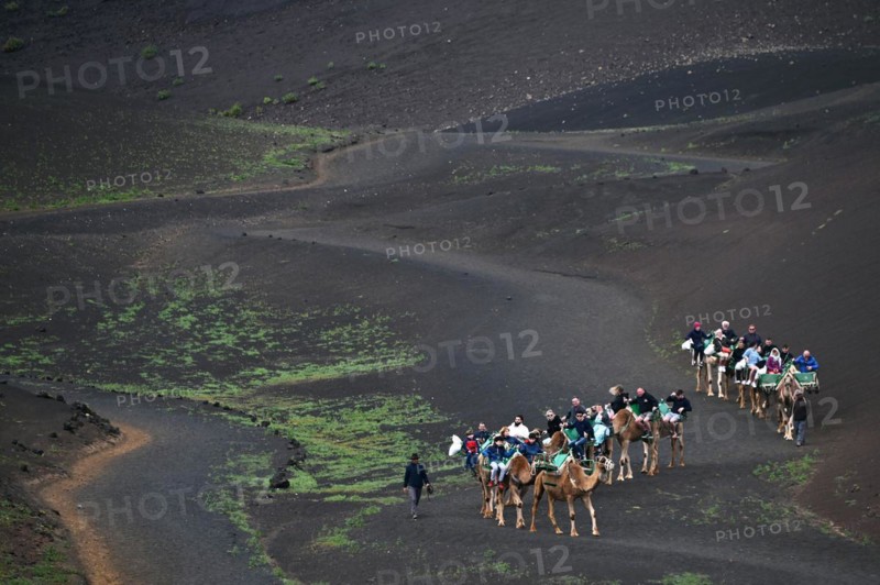 Camel herd with tourists in Timanfaya National Park