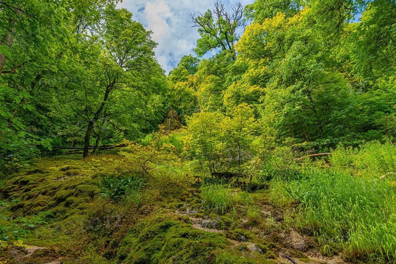 Below Urach waterfall