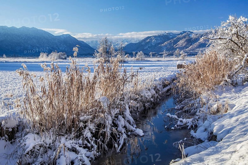 Winter landscape in the Murnauer moss with Estergebirge and Ammergau Alps