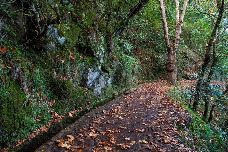 Hiking trail with levada