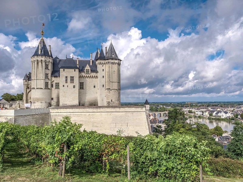 Chateau de Saumur with vineyards in the foreground and the banks of the Loire in the background