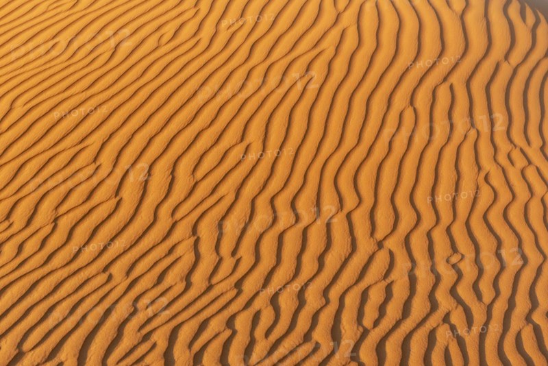 Natural patterns and ripples in the sand
