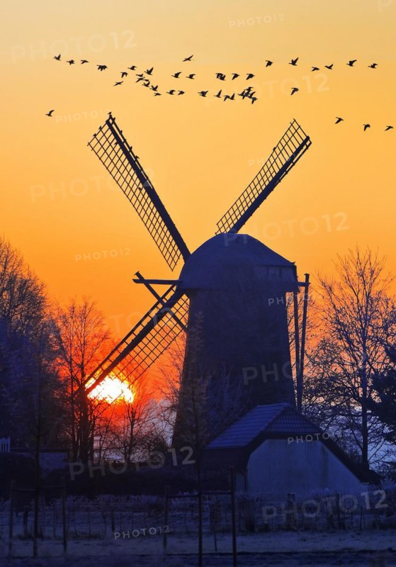 Dueffellandschaft with the windmill in Mehr at sunrise