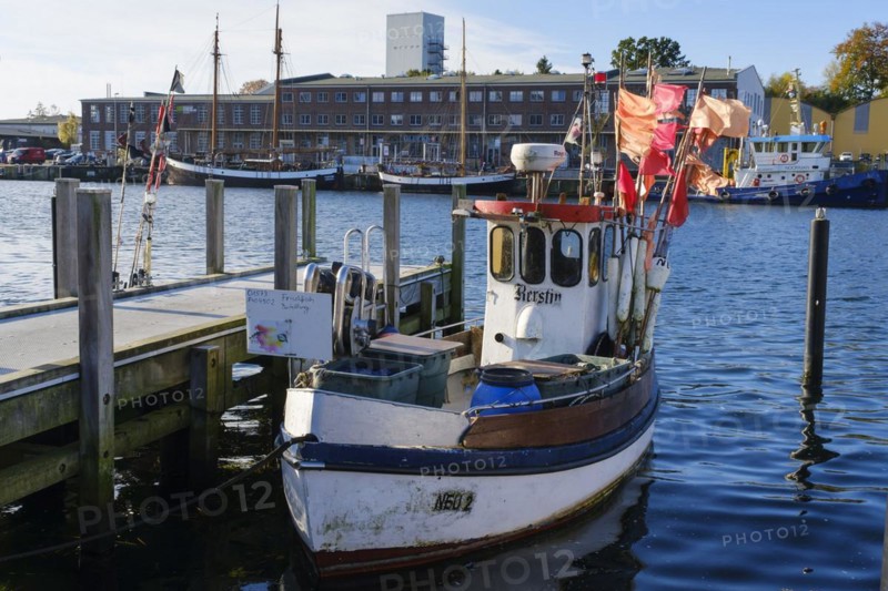 Fishing boat in the harbour