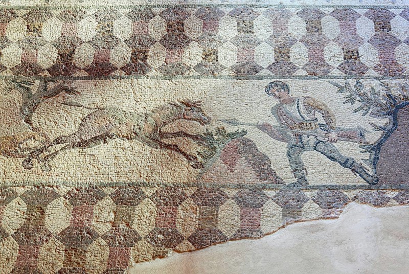 City of Pafos
