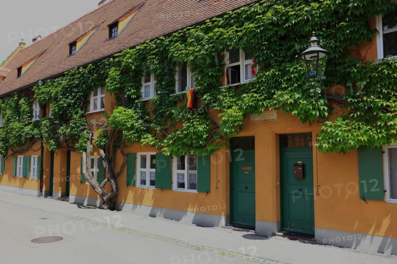 House facade with tree in front