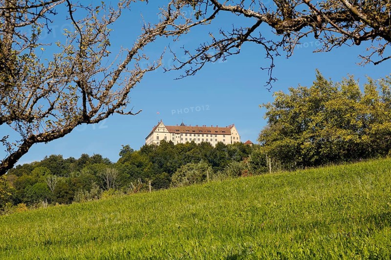 Heiligenberg Castle