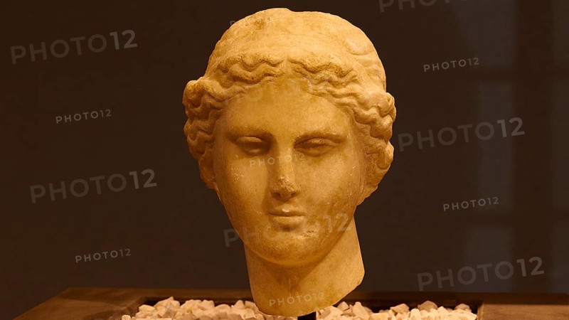 Marble head of Aphrodite