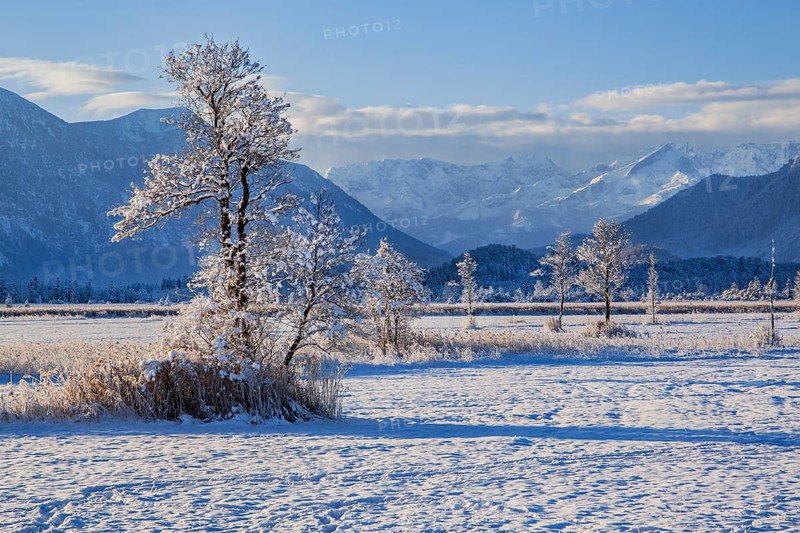 Winter landscape in the Murnauer moss with the Alpspitze 2628m in the Wetterstein Mountains