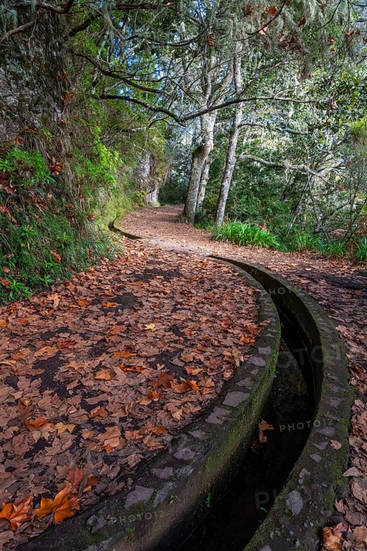 Hiking trail with levada