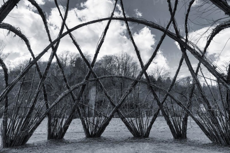 Willow Palace in the Nethe Valley