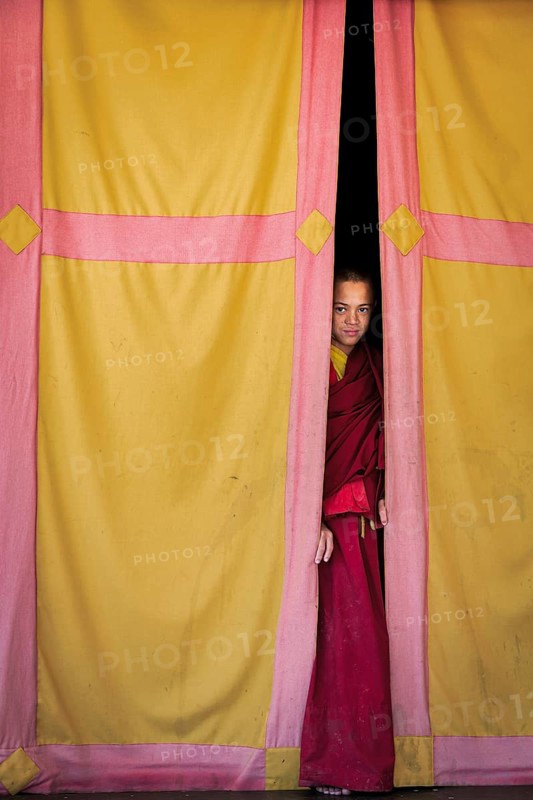 Young monk looking out from behind a curtain