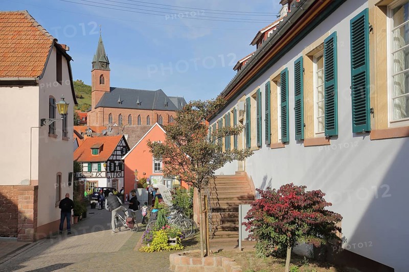 Winery of the Lords of Dalberg and view of St. Martin Church