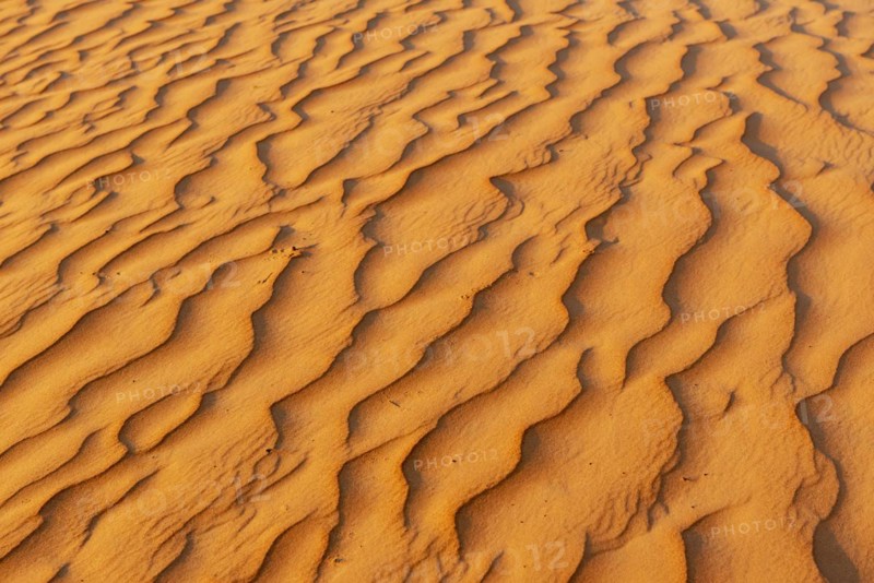 Natural patterns and ripples in the sand
