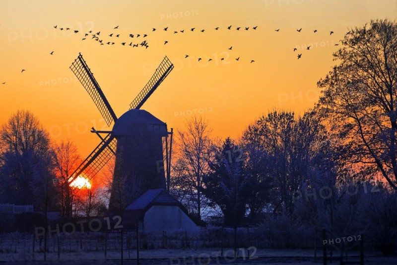 Dueffellandschaft with the windmill in Mehr at sunrise