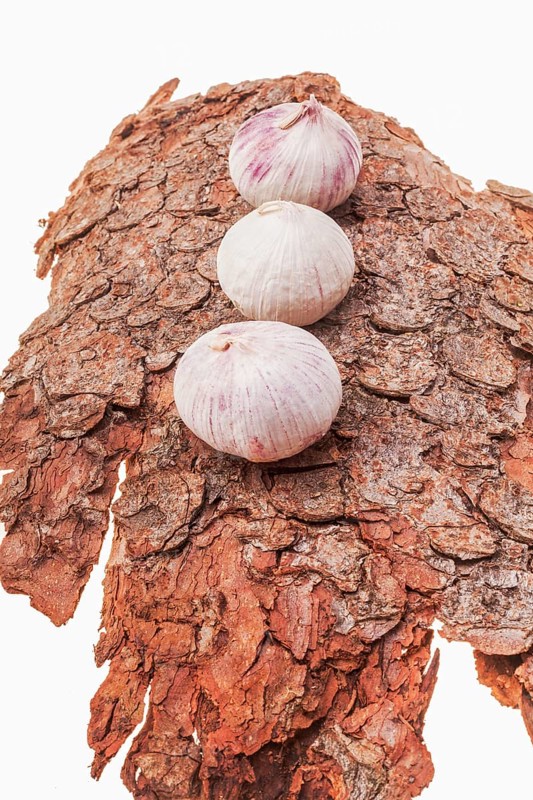 French garlic