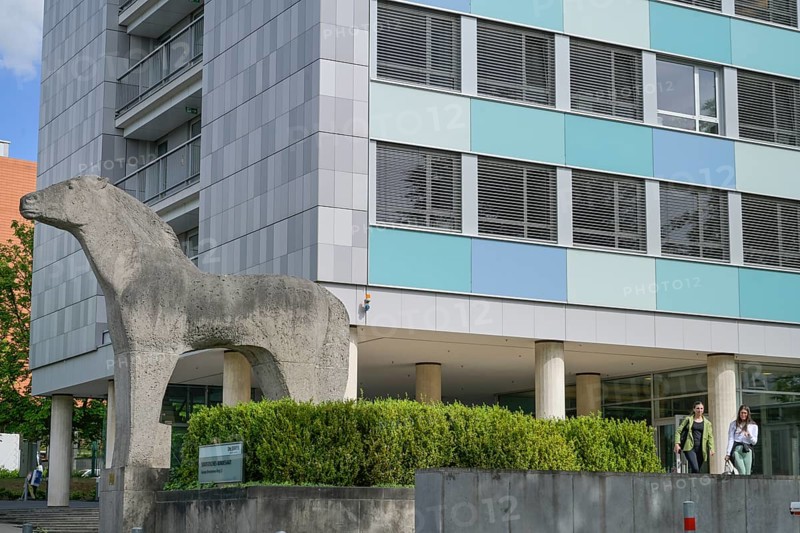 Federal Statistical Office