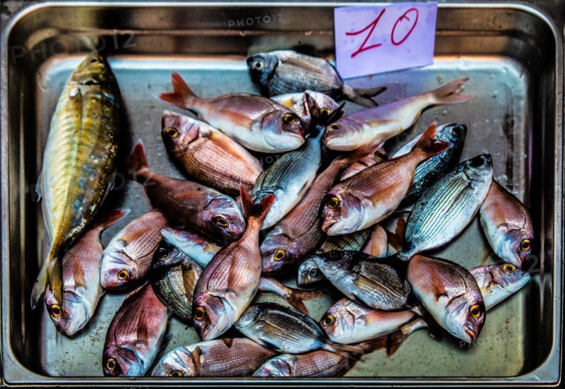 Historic fish market La pescheria with a cornucopia of colourful sea creatures