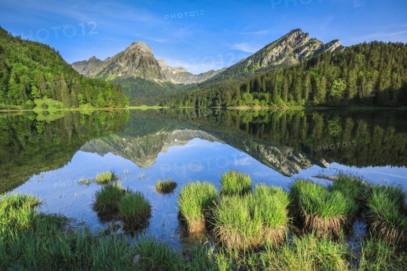 Obersee