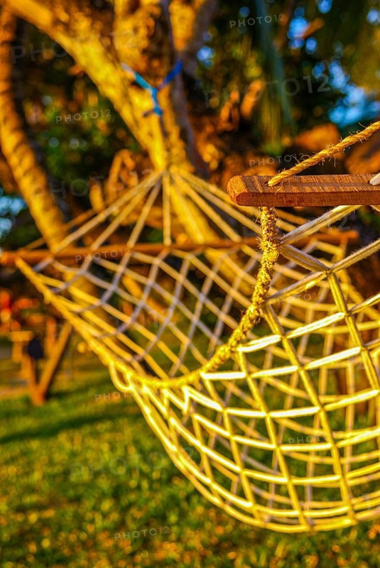 Hammock hanging between palm trees
