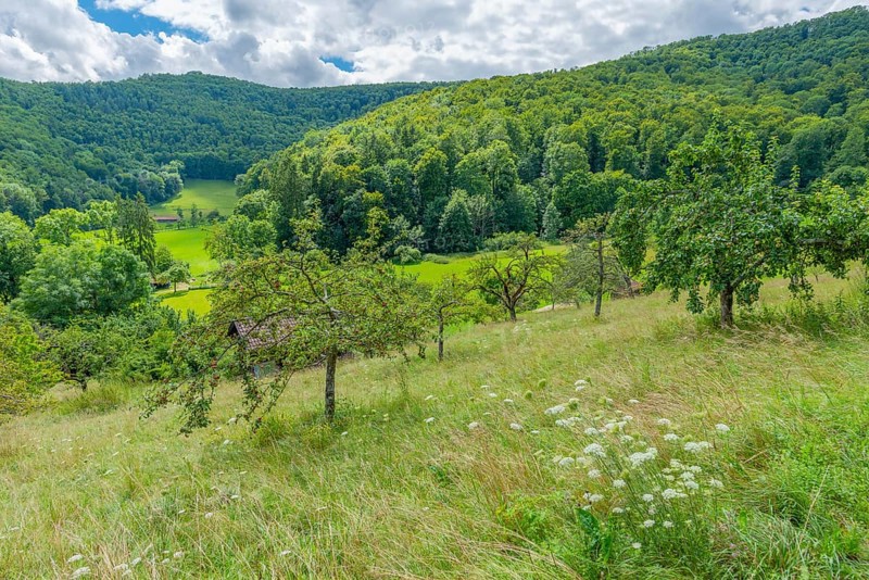 Hinteres Maisental landscape conservation area