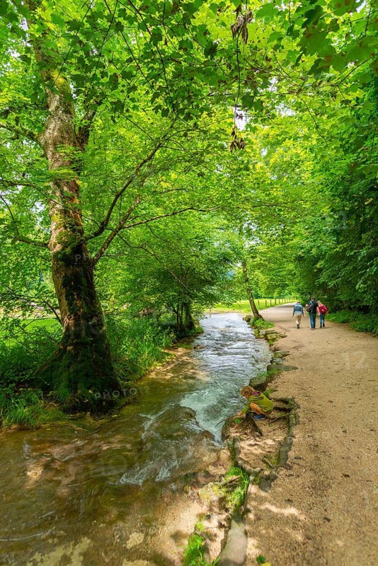 Premium hiking trail Wasserfallsteig