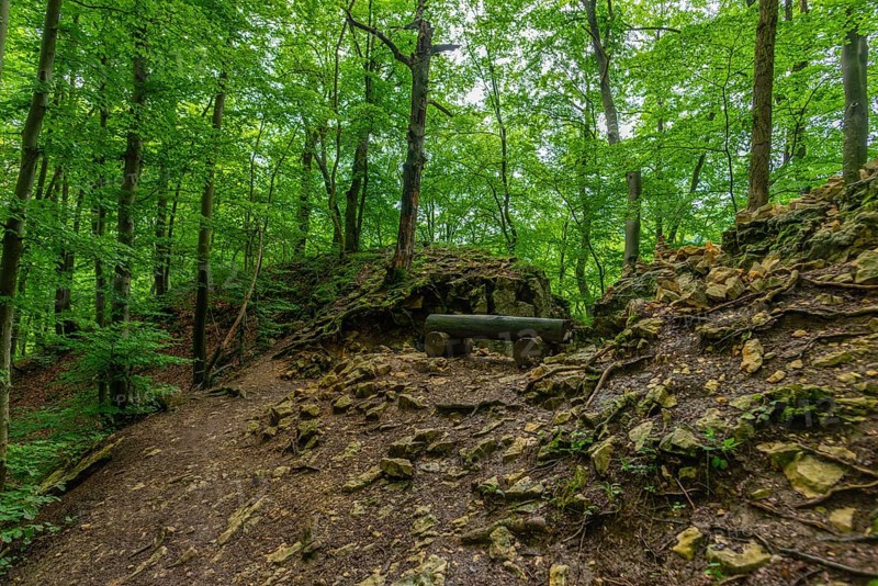 Bench at the premium hiking trail Urach Waterfall