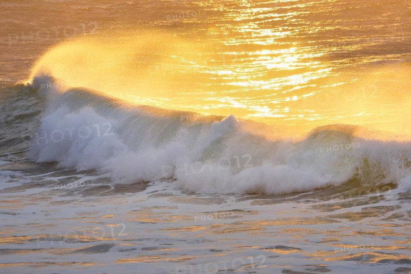 Large wave backlit
