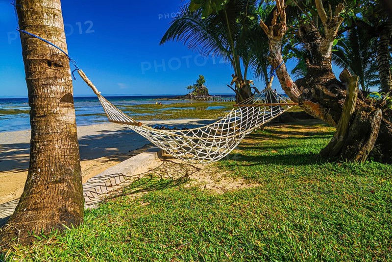 Hammock hanging between plam trees