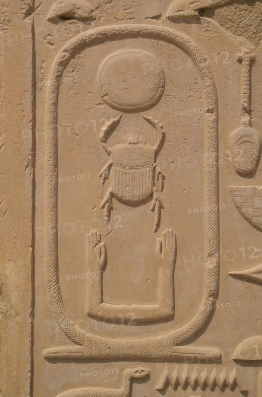 Scarab