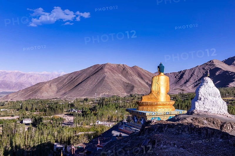 Giant Buddha at Stok Monastery or Stok Gompa