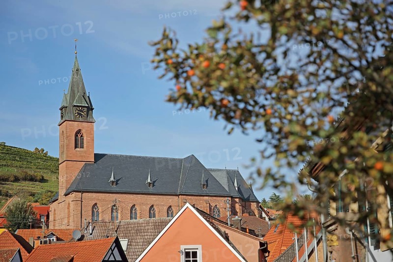 St. Martin Church