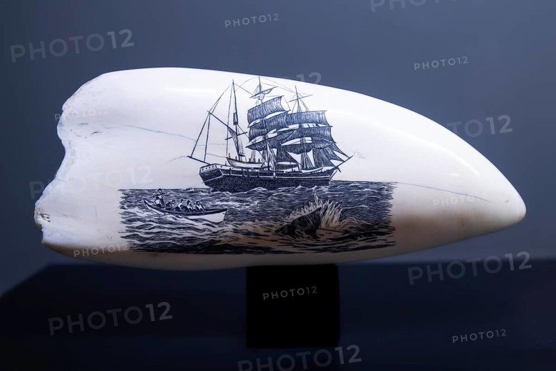 Historical drawings on a tooth of a sperm whale