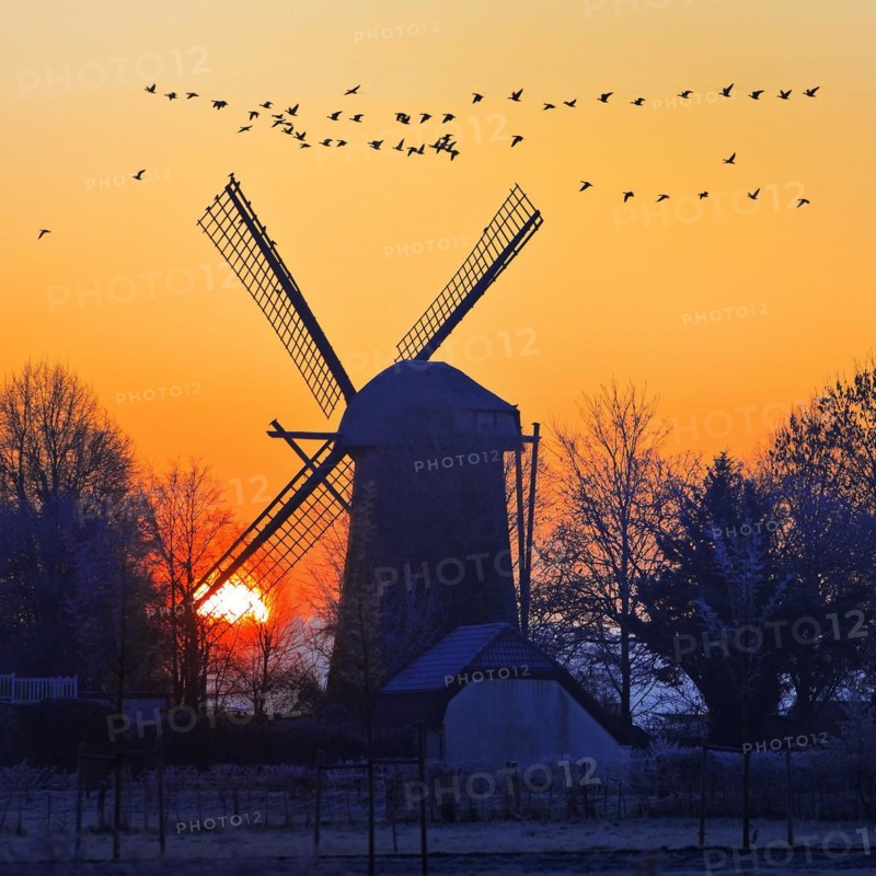 Dueffellandschaft with the windmill in Mehr at sunrise