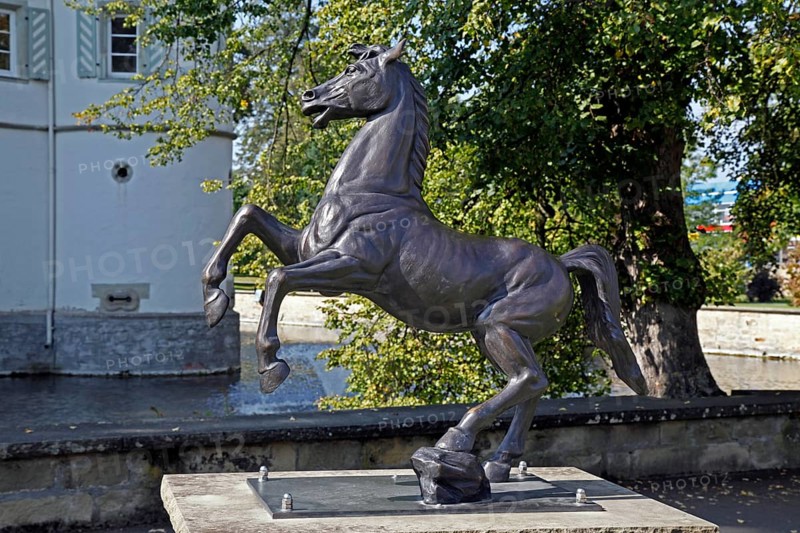 The black horse