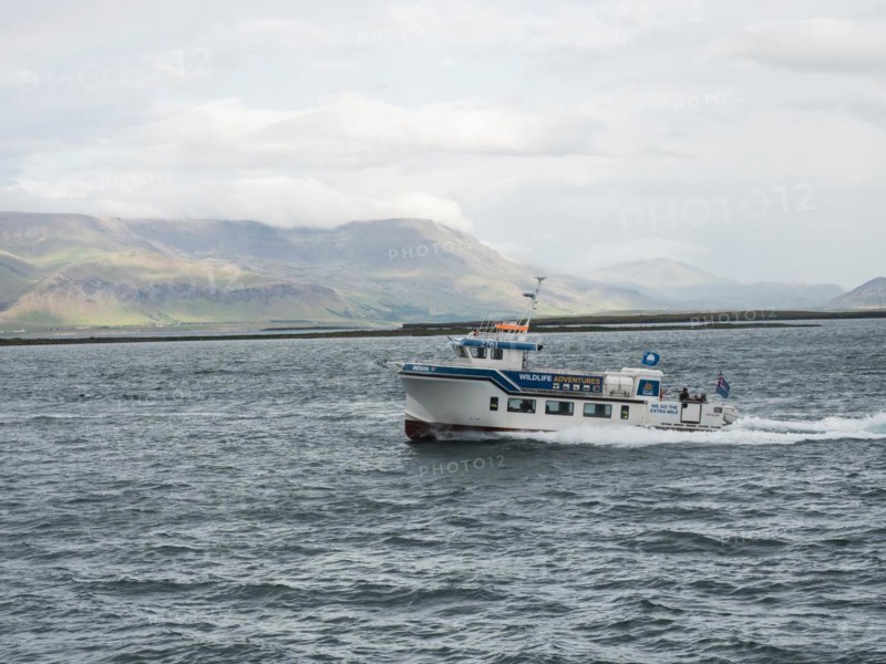 Boat for whale watching