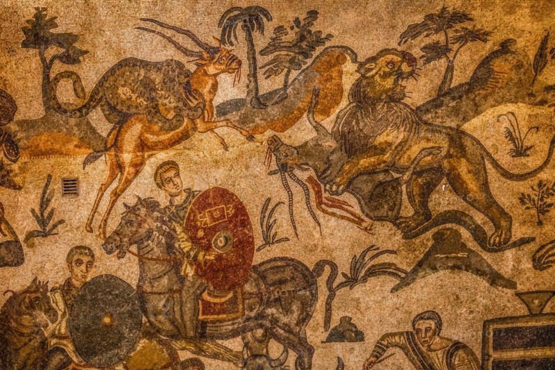 Herd of antelopes being pursued by predatory cats