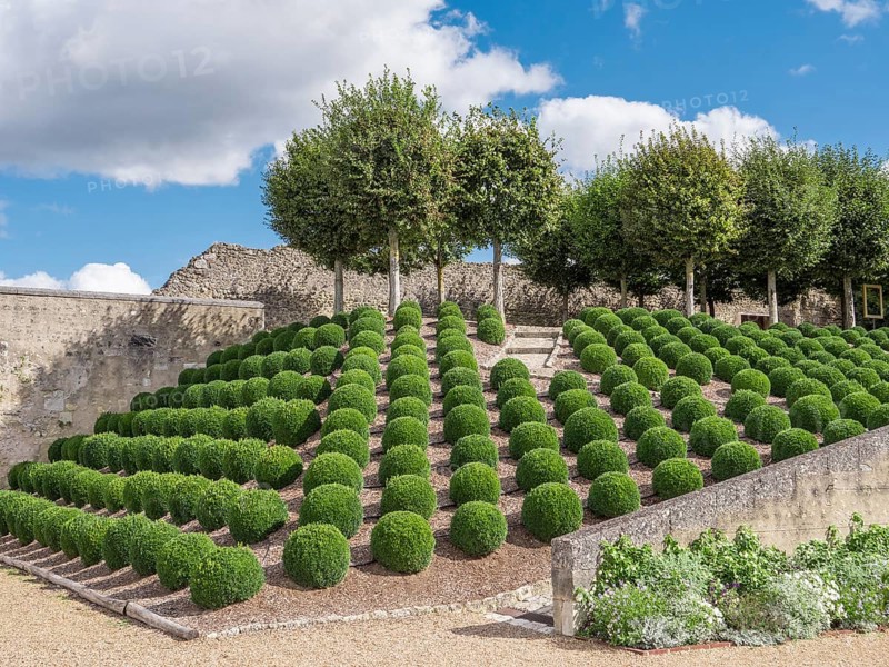 Gardens of the Renaissance Castle of Amboise