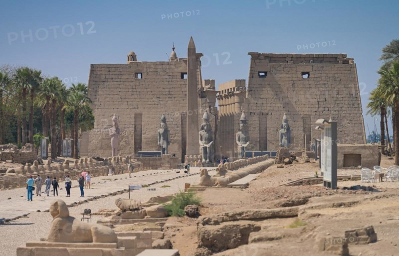 Sphinx Avenue