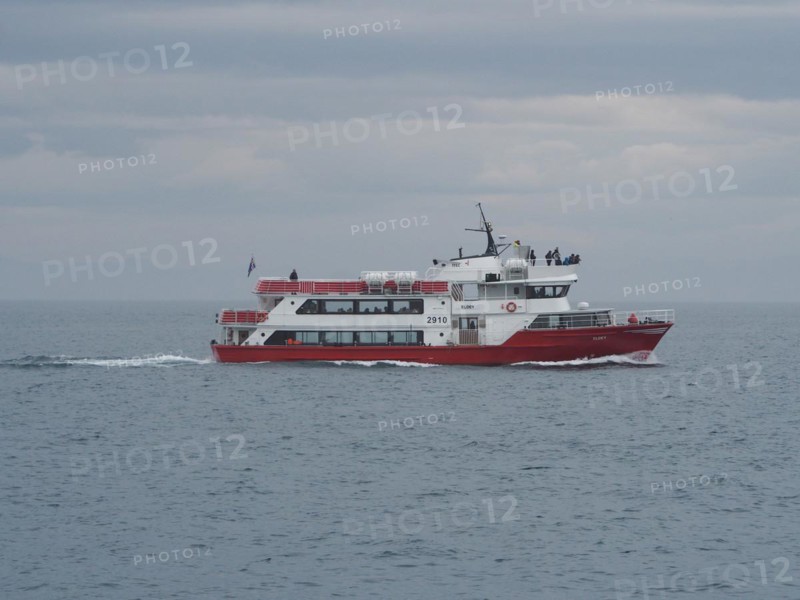 Boat for whale watching
