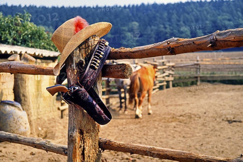Colt in holster