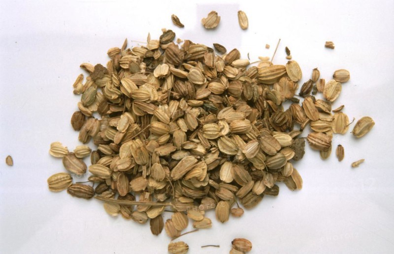 Medicinal plant