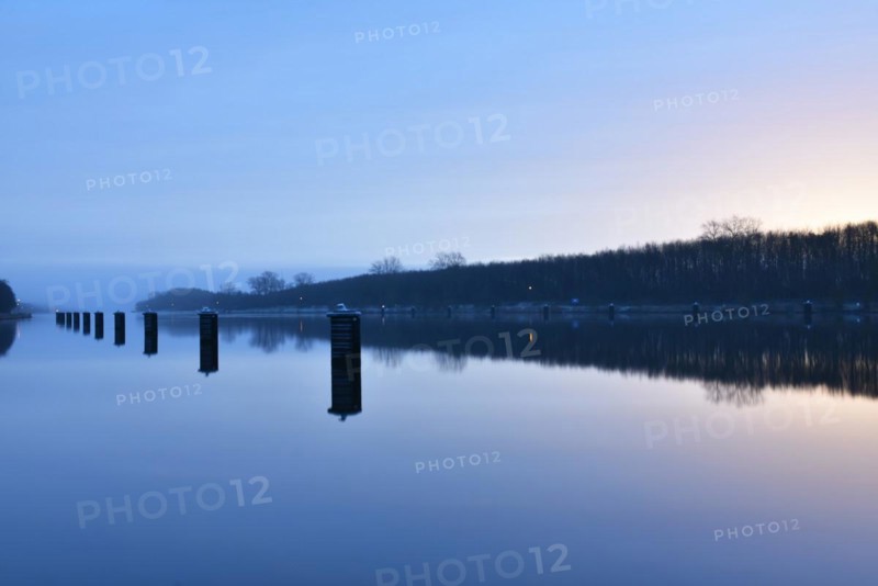 Dolphins in a dodge in the Kiel Canal