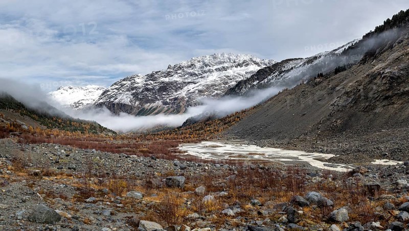 Autumn larch forest in Val Morteratsch